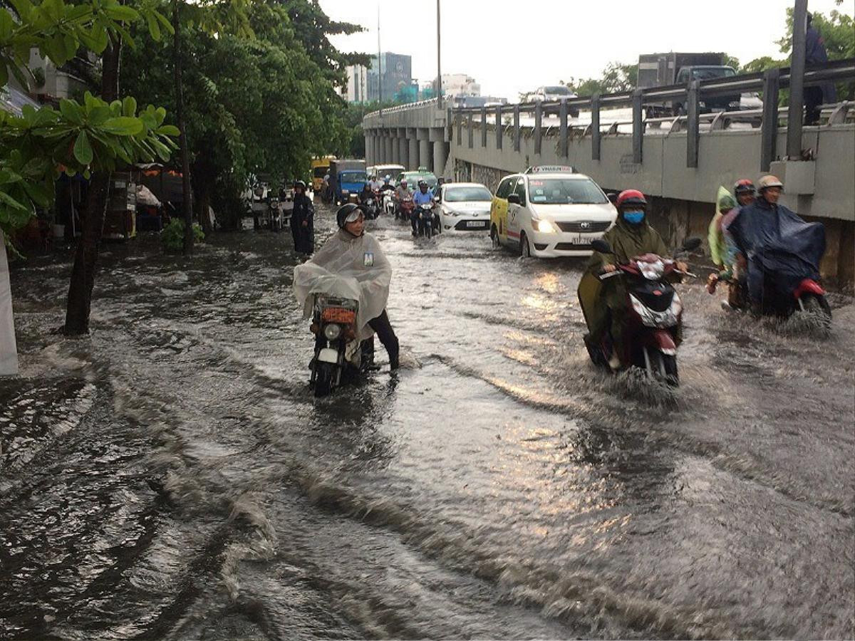 Mới mưa đầu mùa, nhiều đường ở TP.HCM ngập sâu Ảnh 3