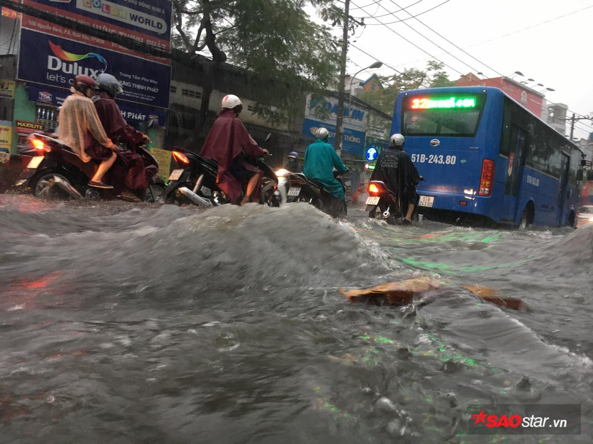 Mưa lớn kéo dài nhiều giờ, đường Sài Gòn lại biến thành sông Ảnh 1