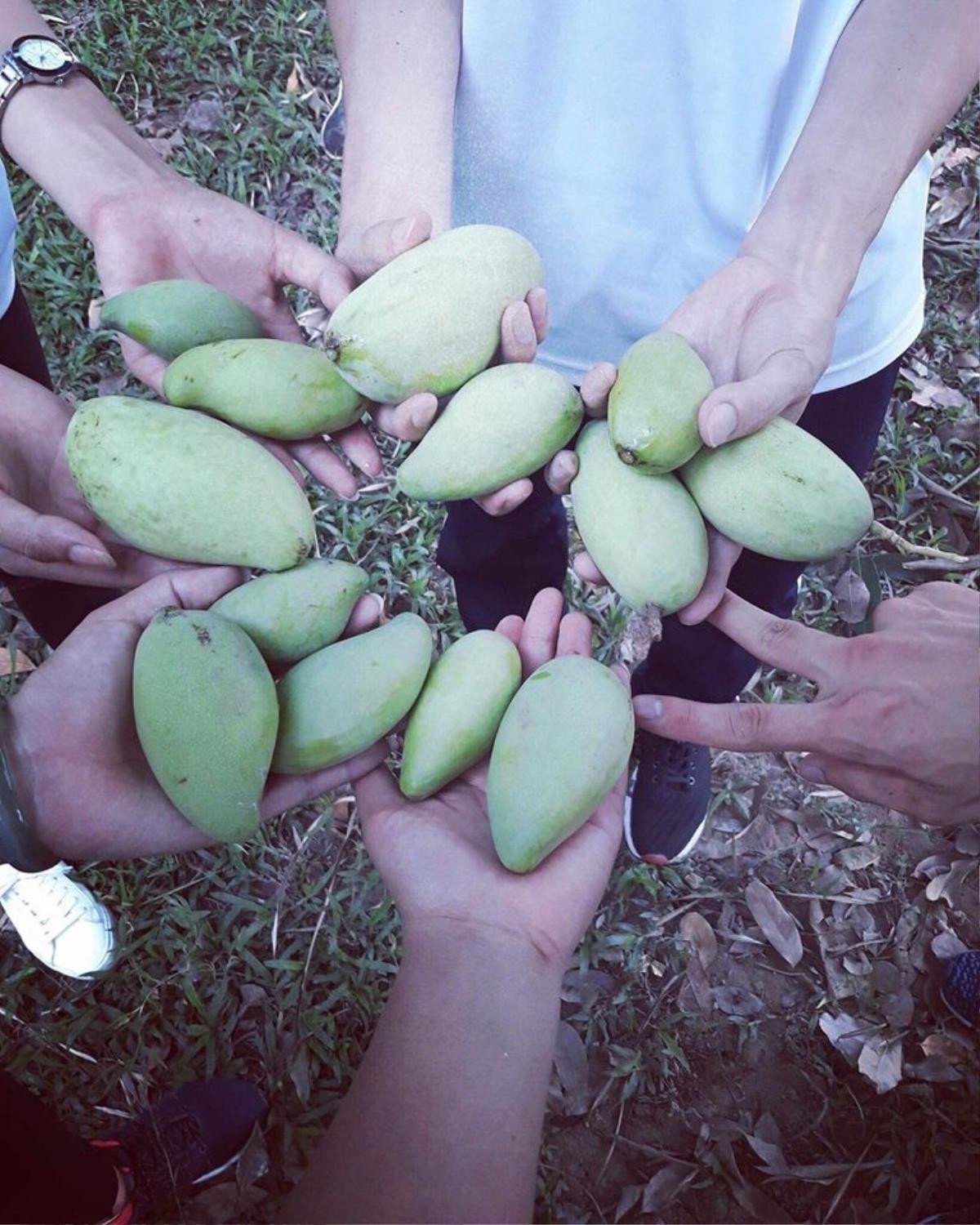 'Sống lại' thời sinh viên nghèo với kỉ niệm đến quả xoài xanh cũng phải vật vã 'chôm' trộm của trường, lén lút ăn trong giờ học Ảnh 4