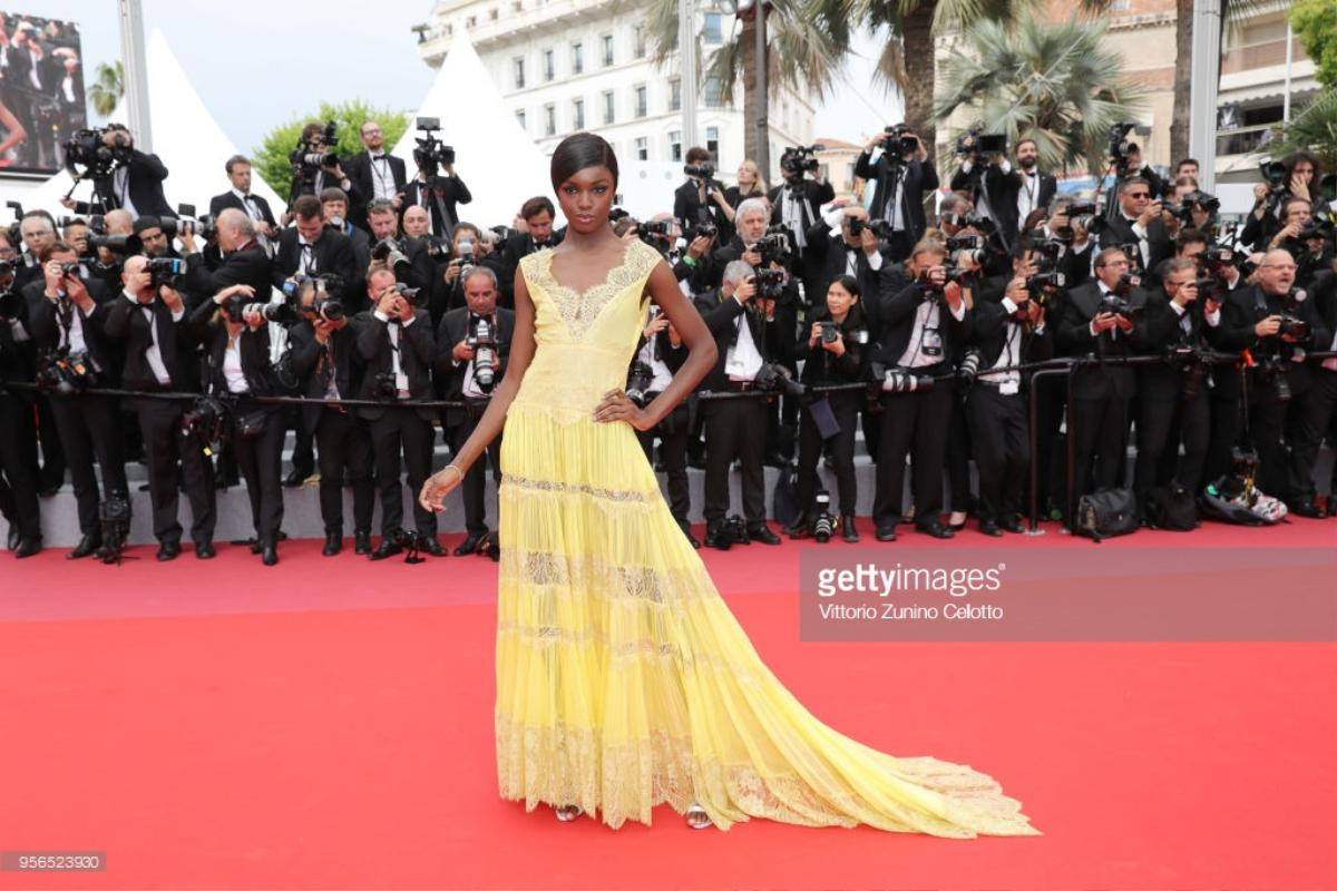 Thảm đỏ Cannes 2018 ngày thứ 2 bớt lố lăng khoe ngực, chỉ toàn những tuyệt sắc giai nhân Ảnh 18