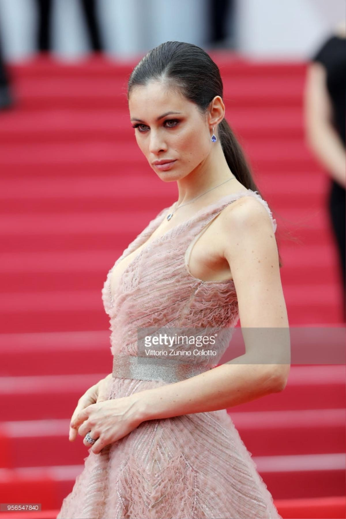 Thảm đỏ Cannes 2018 ngày thứ 2 bớt lố lăng khoe ngực, chỉ toàn những tuyệt sắc giai nhân Ảnh 38