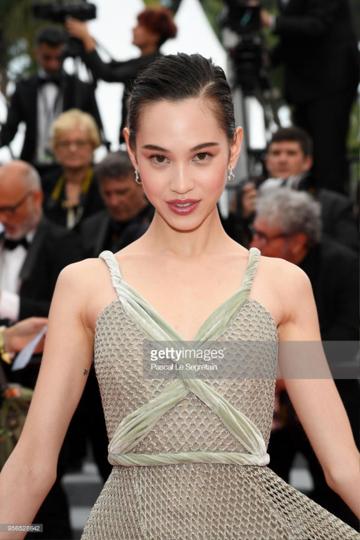 Thảm đỏ Cannes 2018 ngày 2: Lý Nhã Kỳ làm 'báo đen', Kiko Mizuhara và Vương Lệ Khôn xinh như nữ thần Ảnh 6