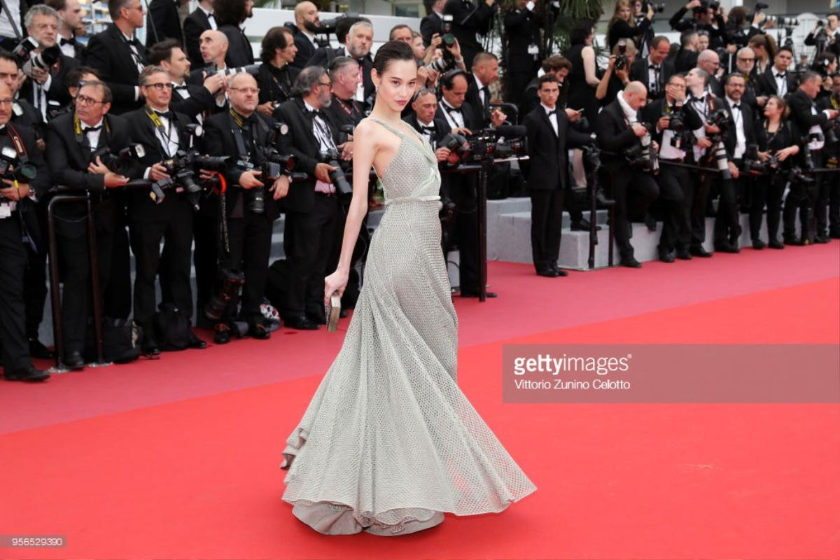 Thảm đỏ Cannes 2018 ngày 2: Lý Nhã Kỳ làm 'báo đen', Kiko Mizuhara và Vương Lệ Khôn xinh như nữ thần Ảnh 9