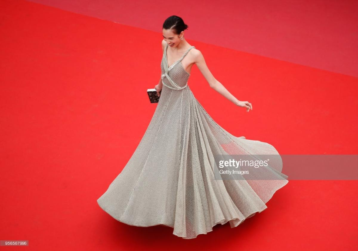 Thảm đỏ Cannes 2018 ngày 2: Lý Nhã Kỳ làm 'báo đen', Kiko Mizuhara và Vương Lệ Khôn xinh như nữ thần Ảnh 12