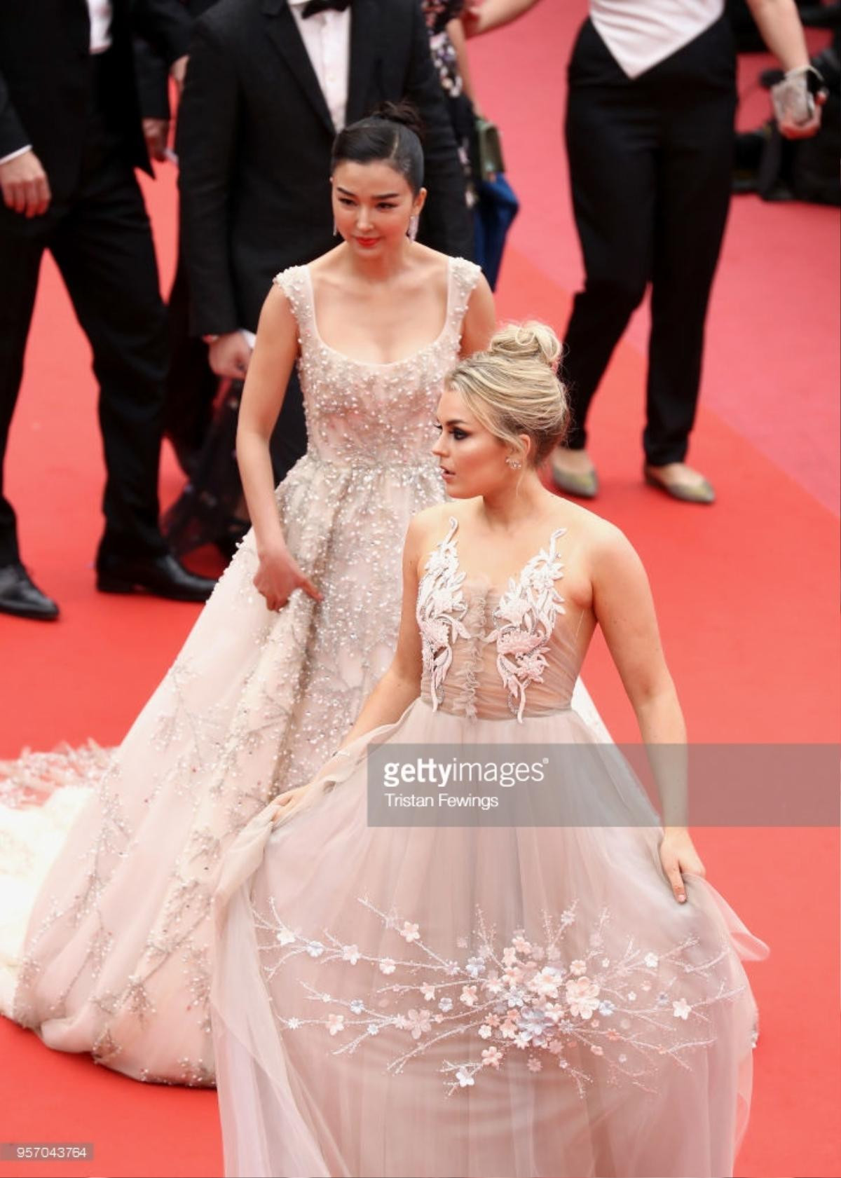 Thảm đỏ Cannes 2018 ngày 3: Lý Nhã Kỳ 'tím mộng mơ' nổi bật hơn nhiều mỹ nhân Châu Á Ảnh 21