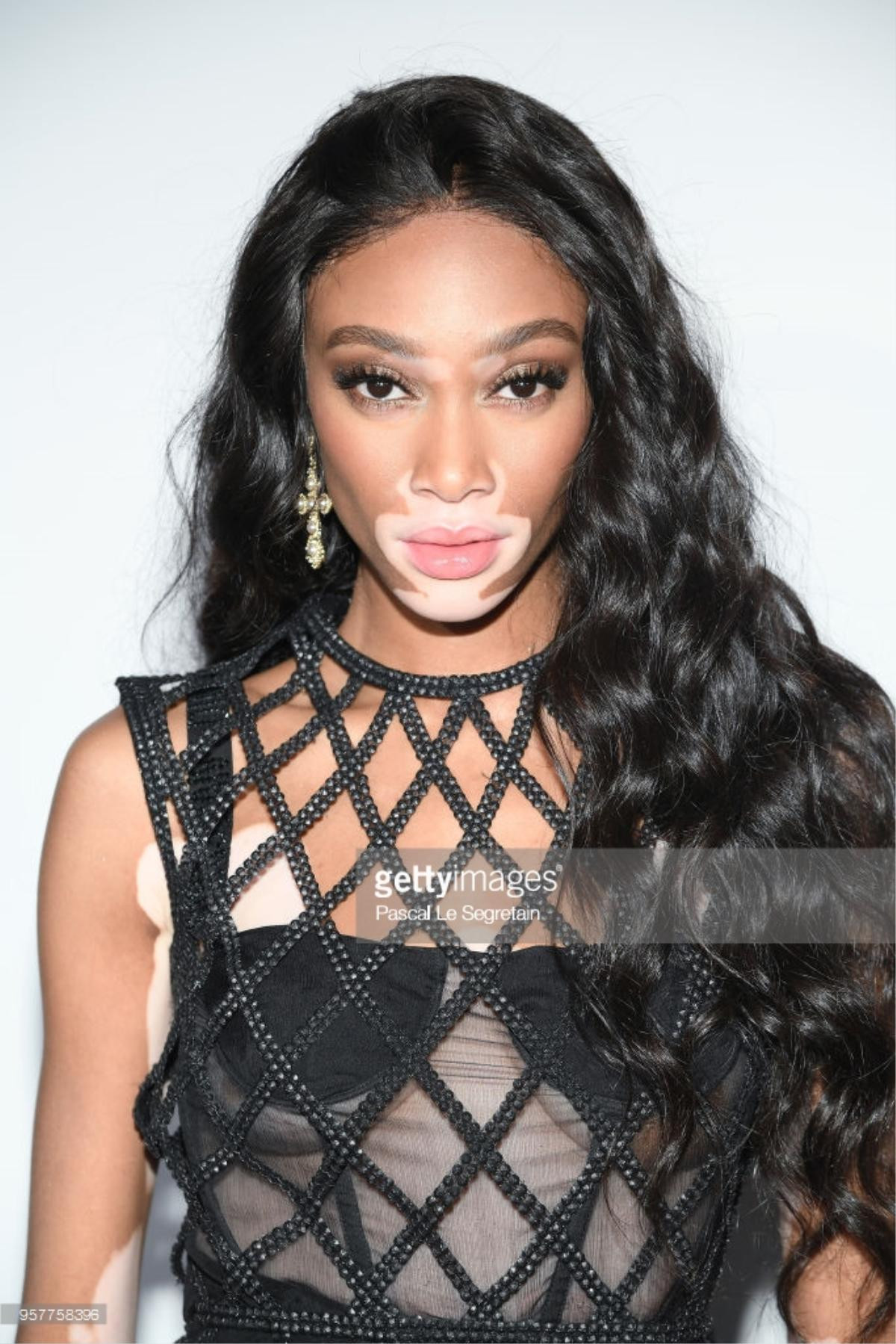 Tiệc tối Cannes 2018 ngày 5: Siêu mẫu bạch biến Winnie Harlow chiếm chọn spotlight vì đẹp tựa nữ thần Ảnh 1