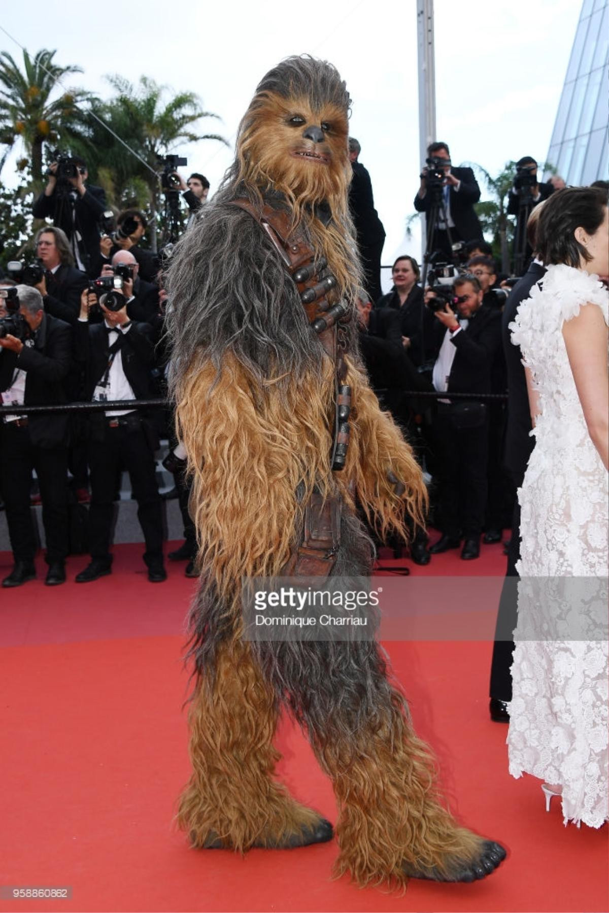 Michael Jackson, Chewbacca của Star Wars 'đại náo' thảm đỏ Cannes ngày 8 Ảnh 11