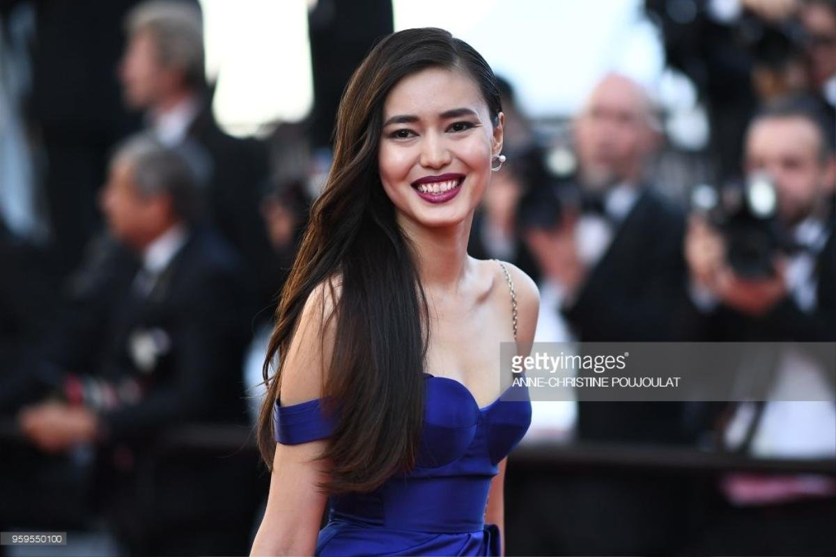 Thảm đỏ Cannes ngày 10: Với chiếc váy in hình Vịnh Hạ Long, Lý Nhã Kỳ đẹp lấn át mọi mỹ nhân châu Á Ảnh 12