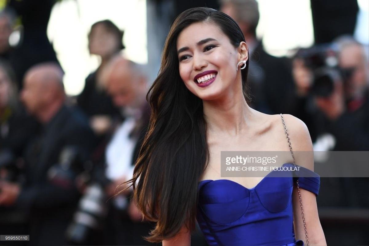 Thảm đỏ Cannes ngày 10: Với chiếc váy in hình Vịnh Hạ Long, Lý Nhã Kỳ đẹp lấn át mọi mỹ nhân châu Á Ảnh 13