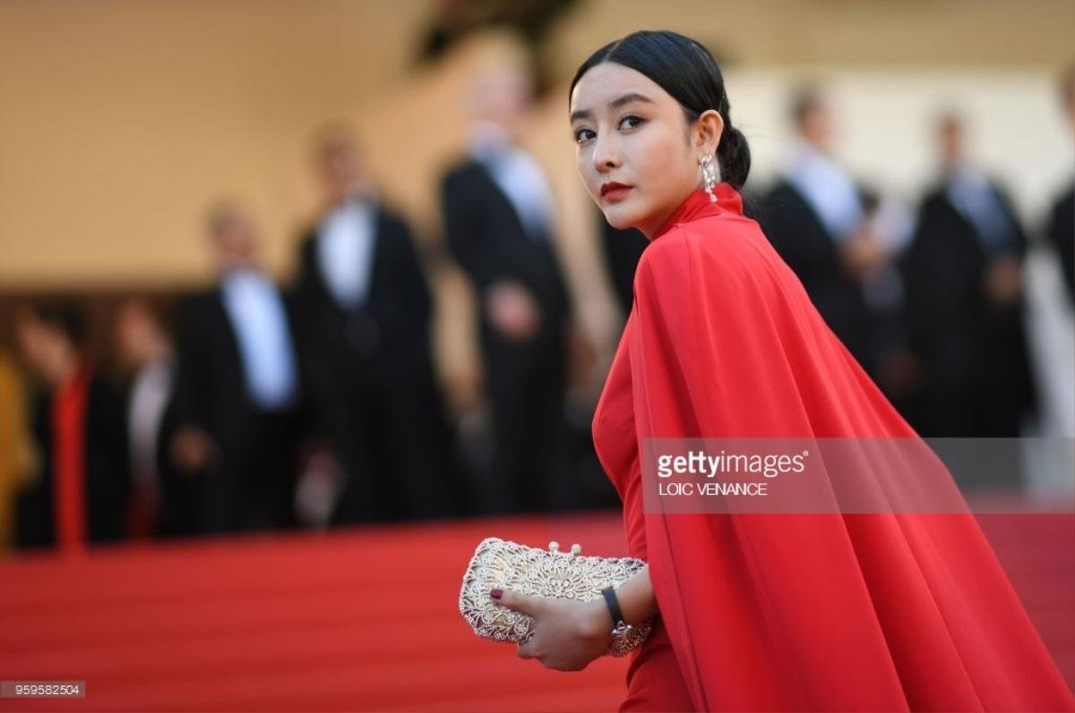 Thảm đỏ Cannes ngày 10: Với chiếc váy in hình Vịnh Hạ Long, Lý Nhã Kỳ đẹp lấn át mọi mỹ nhân châu Á Ảnh 19