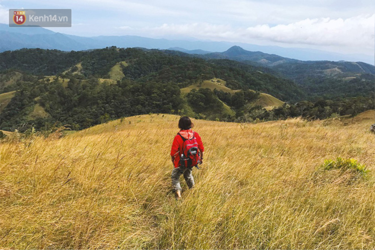 Những tai nạn đáng tiếc ở Tà Năng - Phan Dũng: Cung đường trekking đẹp nhất Việt Nam nhưng cũng đầy hiểm nguy khó lường Ảnh 9