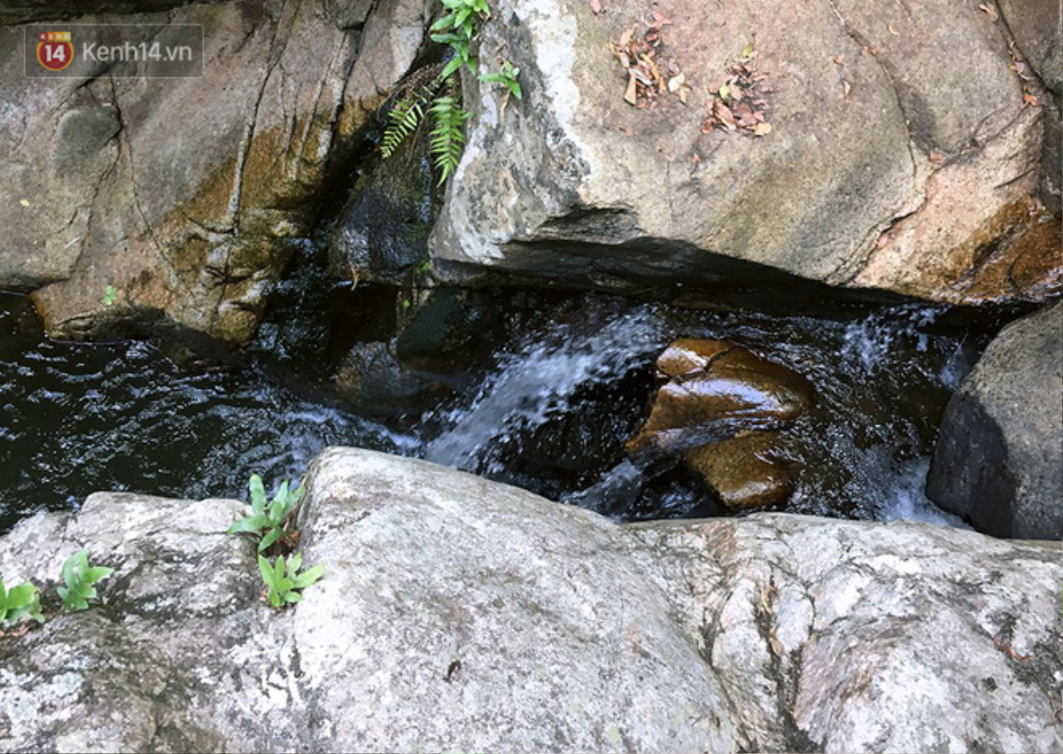 Những tai nạn đáng tiếc ở Tà Năng - Phan Dũng: Cung đường trekking đẹp nhất Việt Nam nhưng cũng đầy hiểm nguy khó lường Ảnh 5