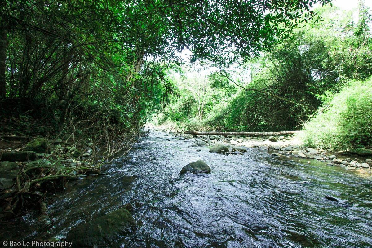 Những tai nạn đáng tiếc ở Tà Năng - Phan Dũng: Cung đường trekking đẹp nhất Việt Nam nhưng cũng đầy hiểm nguy khó lường Ảnh 8