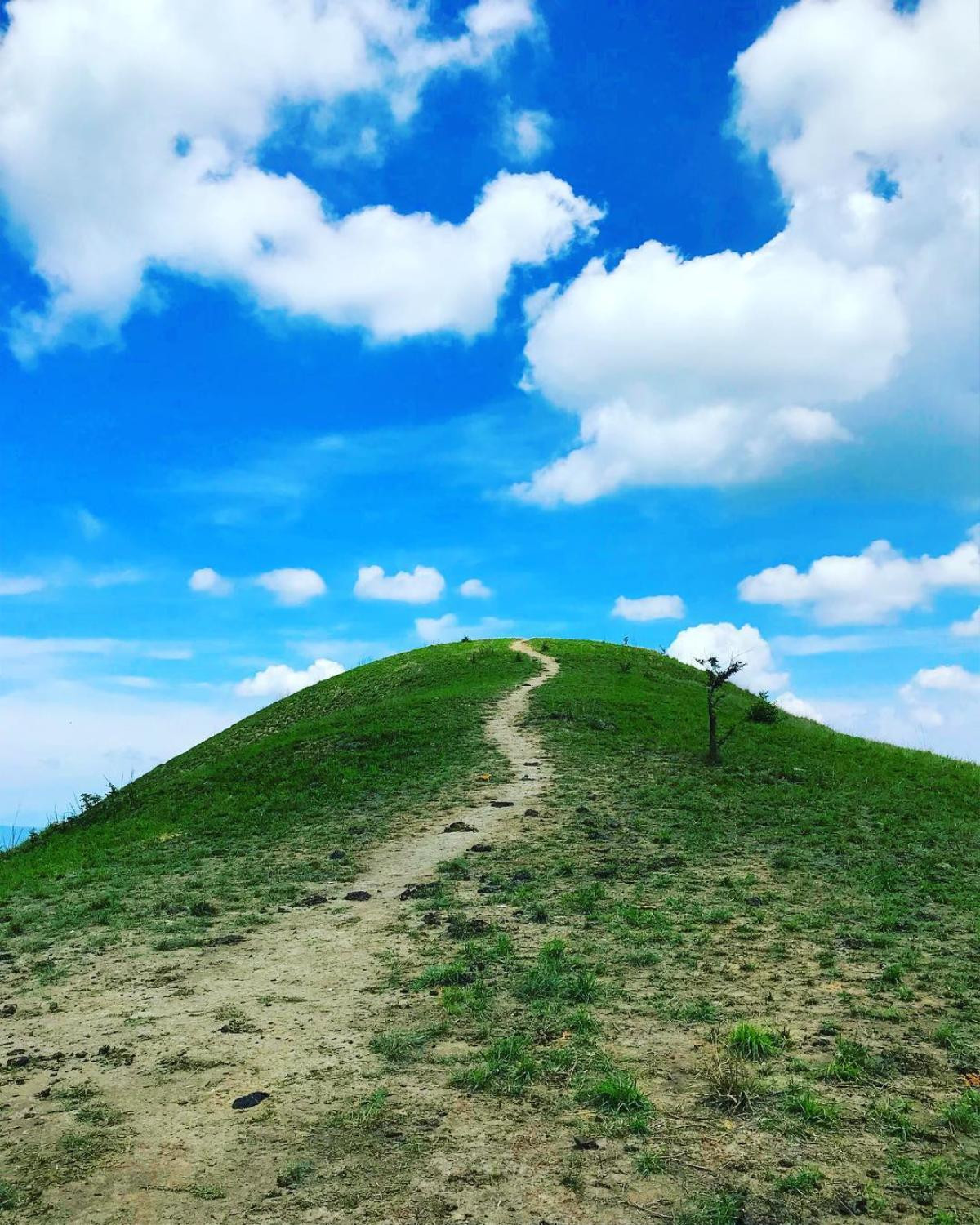 Trekking Tà Năng - Phan Dũng: Lựa chọn mạo hiểm hay thách thức bản thân? Ảnh 2