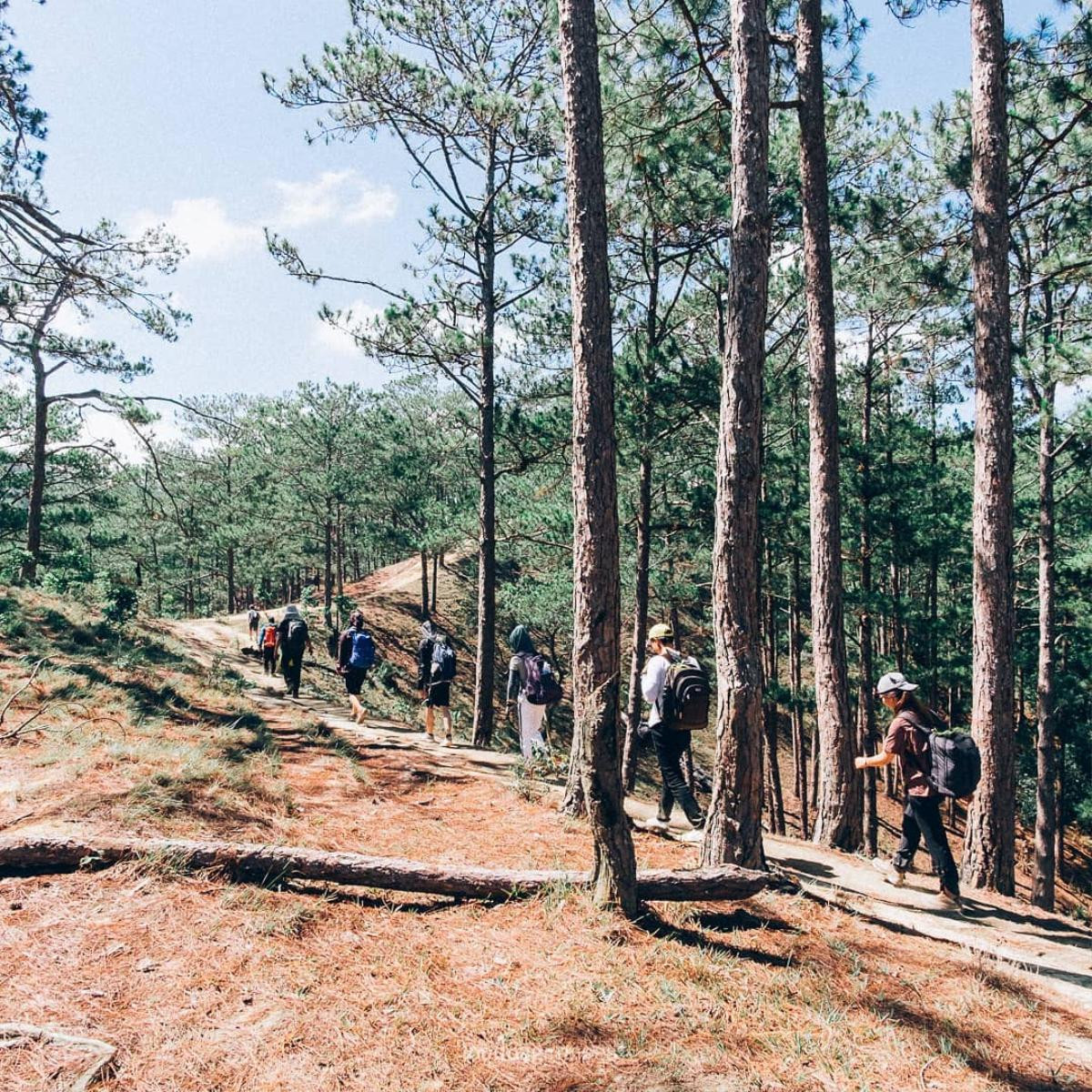 Trekking Tà Năng - Phan Dũng: Lựa chọn mạo hiểm hay thách thức bản thân? Ảnh 6