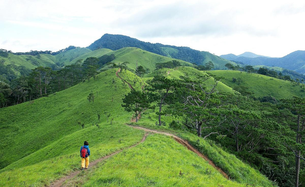 Có nên cấm phượt thủ vào cung trekking Tà Năng - Phan Dũng sau vụ nam phượt thủ tử nạn? Ảnh 3