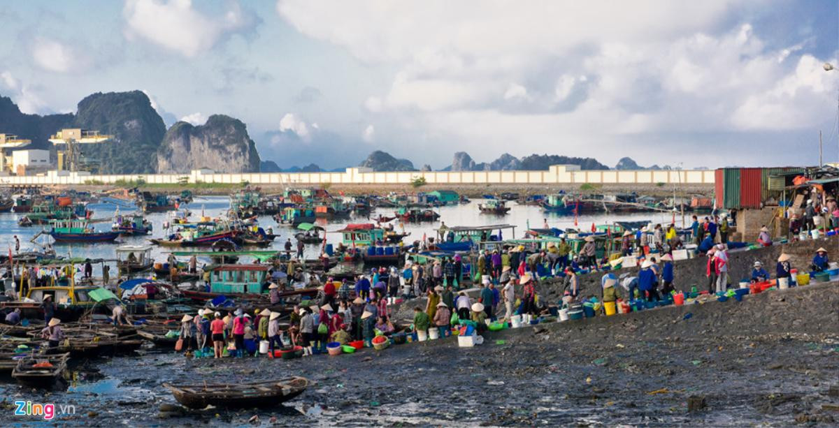 Chợ cá Bến Do nhộn nhịp lúc bình minh Ảnh 1