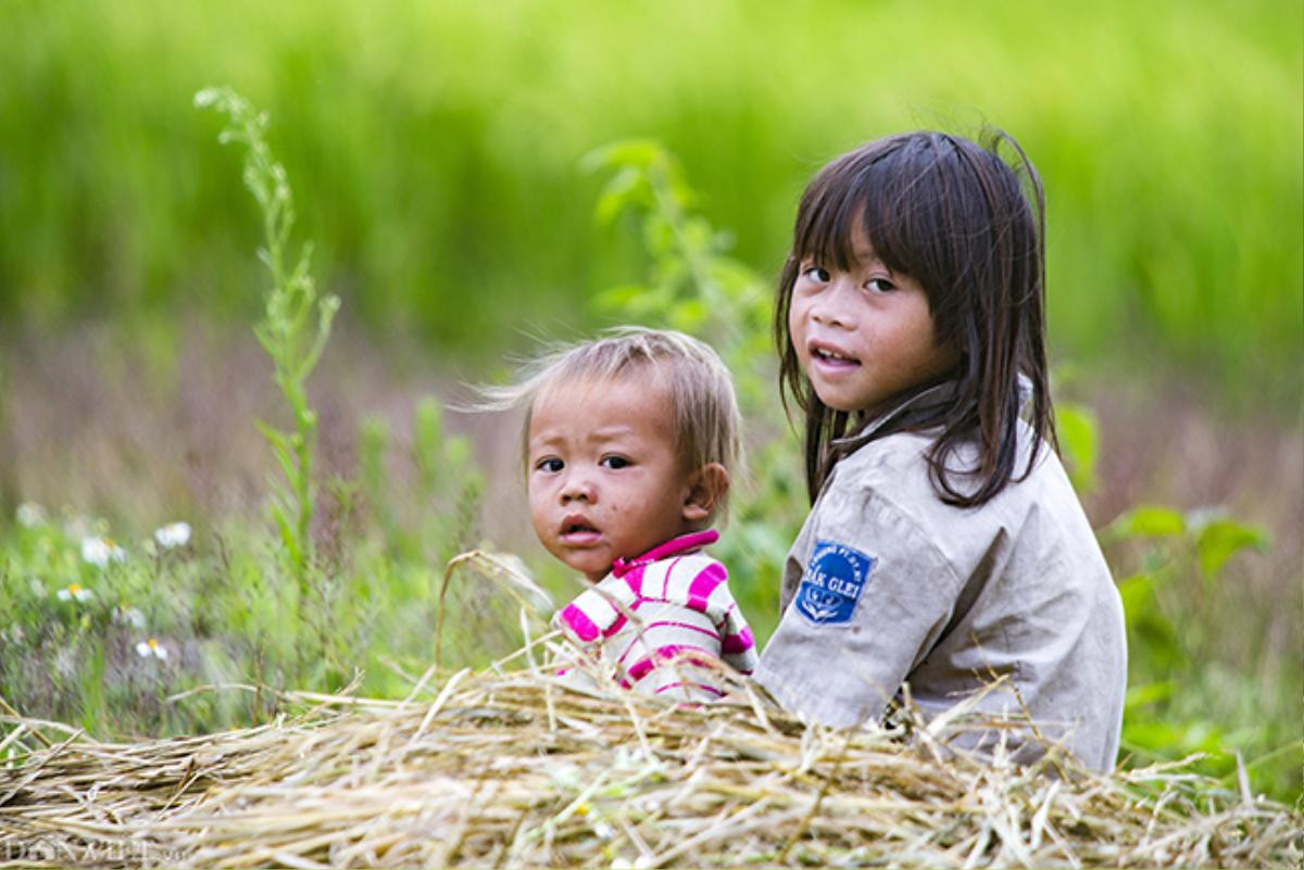 Ảnh đẹp trẻ em vùng cao: Hồn nhiên ánh mắt trong veo nụ cười Ảnh 8