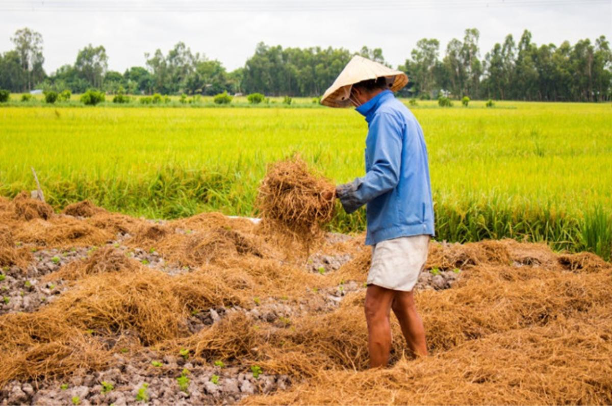 Nữ sinh Cần Thơ rạng rỡ bên người cha chưa từng đi họp phụ huynh Ảnh 3