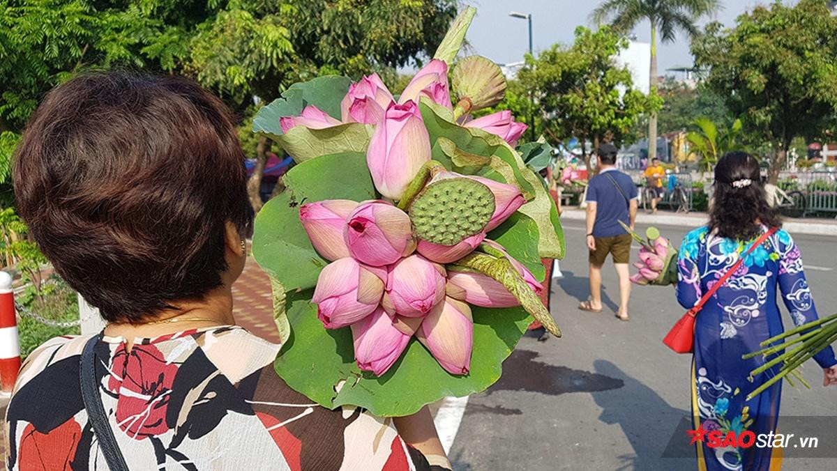 Tháng 6 về Hà Nội nóng phát hờn nhưng mỗi lần ngang qua loài hoa này, người ta lại thấy thanh mát đến lạ Ảnh 11