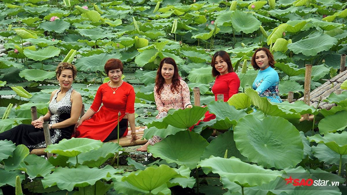 Tháng 6 về Hà Nội nóng phát hờn nhưng mỗi lần ngang qua loài hoa này, người ta lại thấy thanh mát đến lạ Ảnh 4