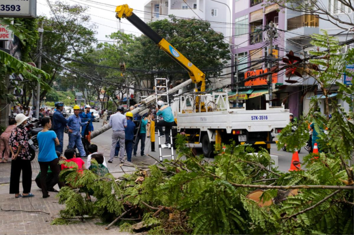 Cây ngã hàng loạt trong giông lốc, giao thông TP HCM rối loạn Ảnh 5