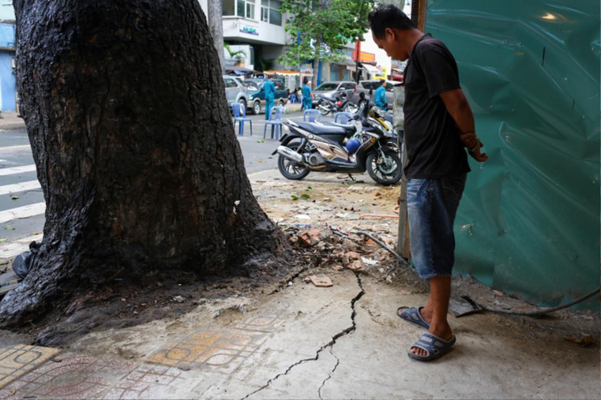 Cây ngã hàng loạt trong giông lốc, giao thông TP HCM rối loạn Ảnh 6