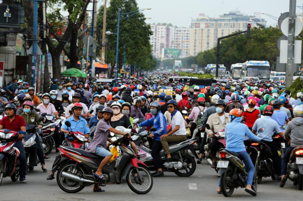 Cây ngã hàng loạt trong giông lốc, giao thông TP HCM rối loạn Ảnh 8