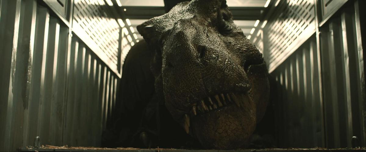 'Jurassic World: Fallen Kingdom': Khủng long hay loài người đang bị đe dọa diệt vong? Ảnh 4