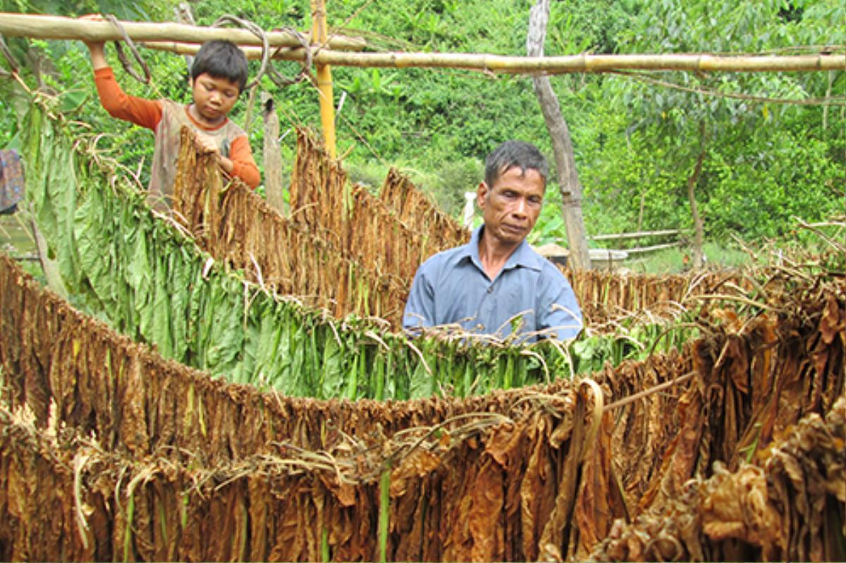 Vợ chồng 50 năm sống biệt lập giữa rừng Quảng Trị Ảnh 1