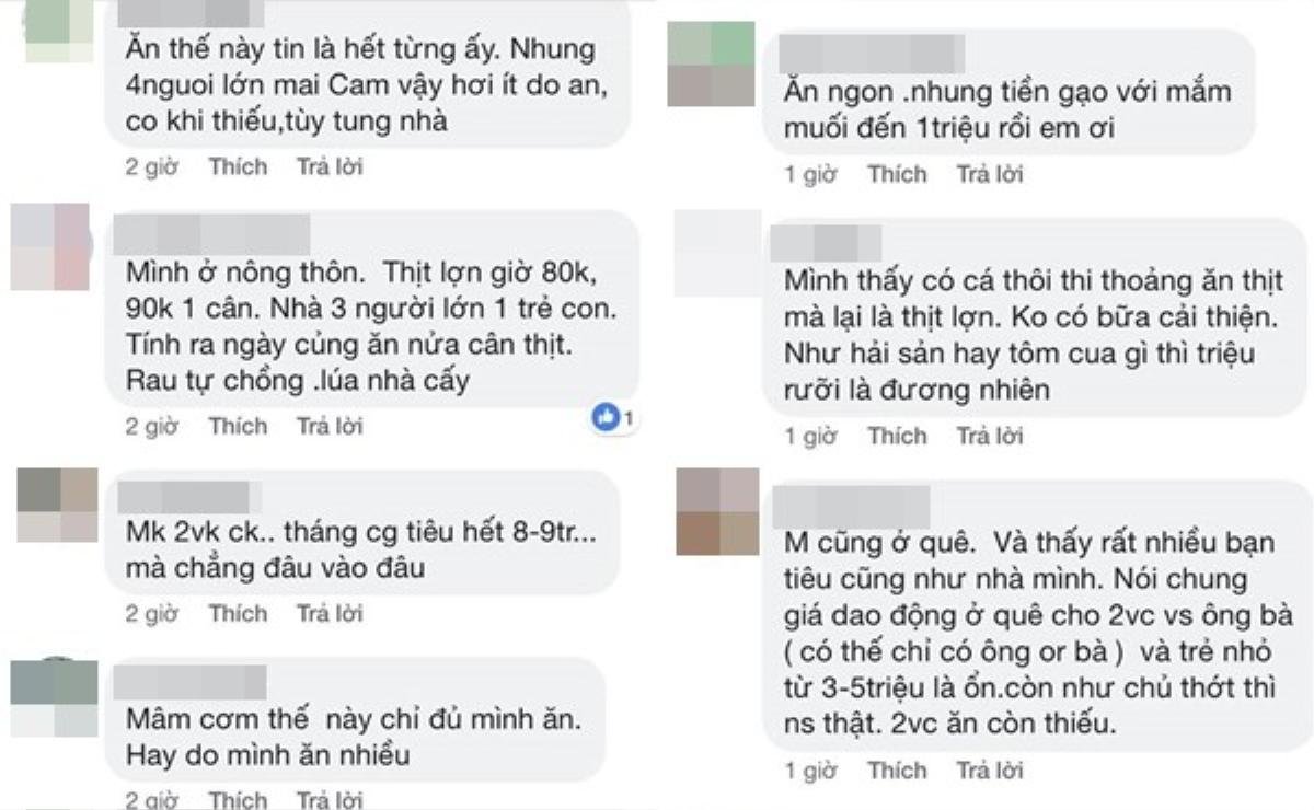 Mẹ trẻ khoe thực đơn 1,5 triệu/tháng cho 4 người lớn, hội chị em đồng loạt ném đá ào ào Ảnh 2