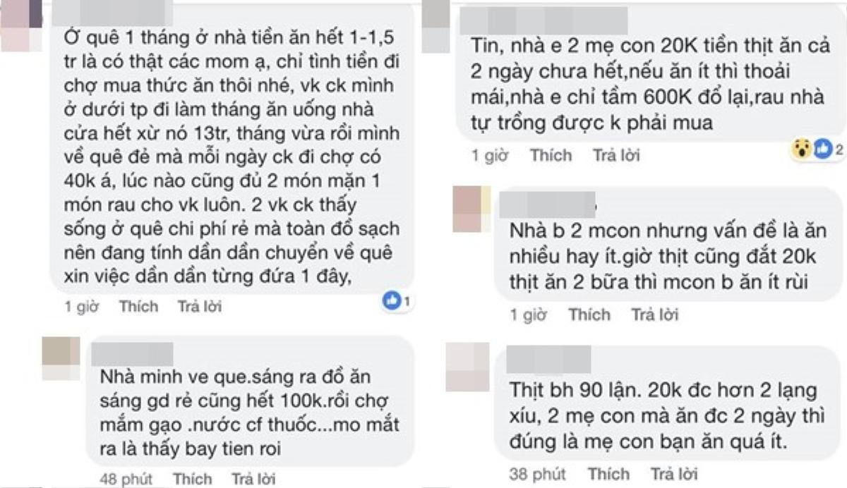 Mẹ trẻ khoe thực đơn 1,5 triệu/tháng cho 4 người lớn, hội chị em đồng loạt ném đá ào ào Ảnh 3