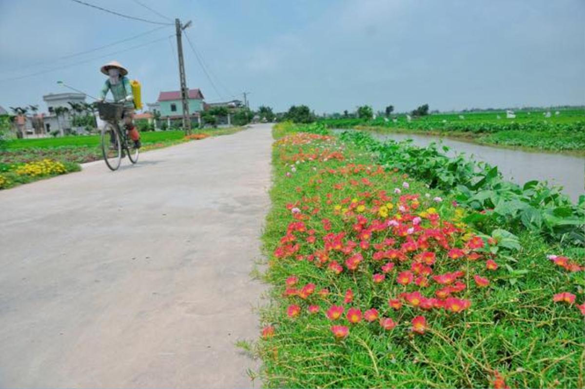 Cần gì đi đâu xa, ở Việt Nam cũng có những con đường hoa thơ mộng đẹp không thua một xứ xở nào! Ảnh 14