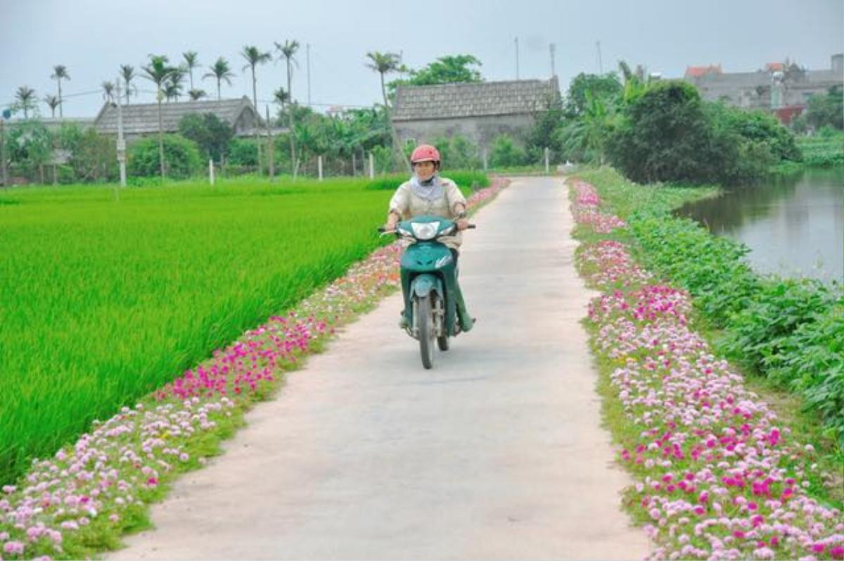 Cần gì đi đâu xa, ở Việt Nam cũng có những con đường hoa thơ mộng đẹp không thua một xứ xở nào! Ảnh 5