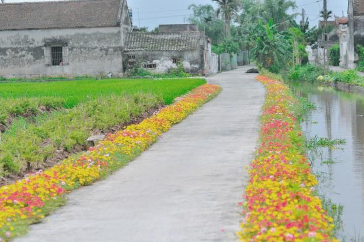 Cần gì đi đâu xa, ở Việt Nam cũng có những con đường hoa thơ mộng đẹp không thua một xứ xở nào! Ảnh 13