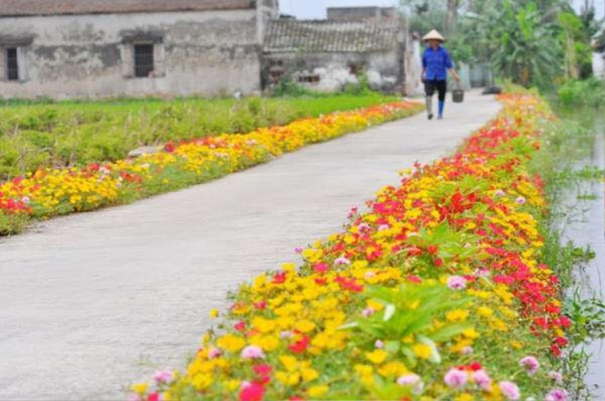 Cần gì đi đâu xa, ở Việt Nam cũng có những con đường hoa thơ mộng đẹp không thua một xứ xở nào! Ảnh 6