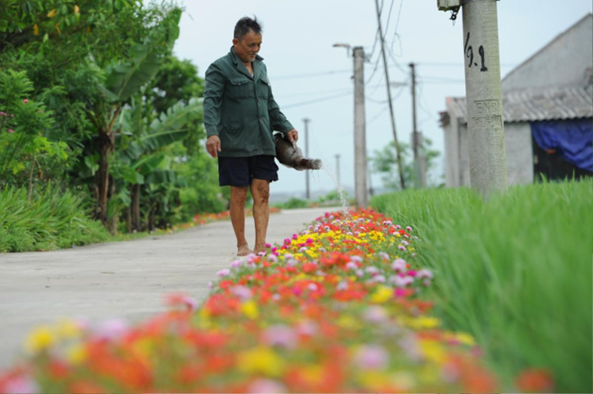 Cần gì đi đâu xa, ở Việt Nam cũng có những con đường hoa thơ mộng đẹp không thua một xứ xở nào! Ảnh 8