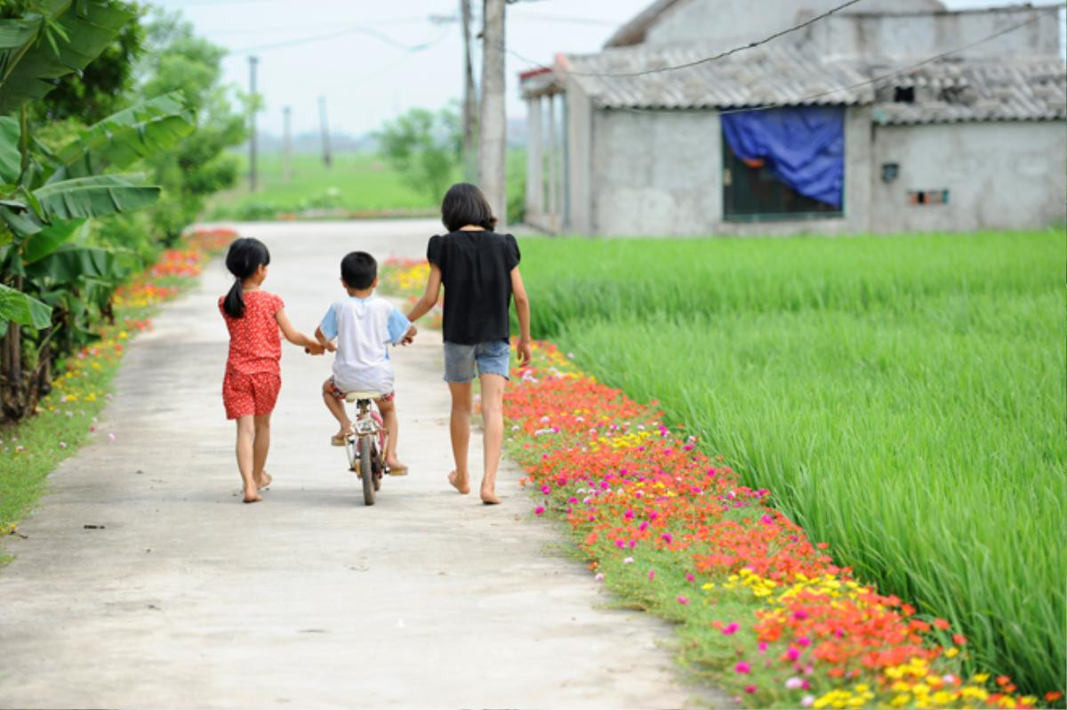 Cần gì đi đâu xa, ở Việt Nam cũng có những con đường hoa thơ mộng đẹp không thua một xứ xở nào! Ảnh 7