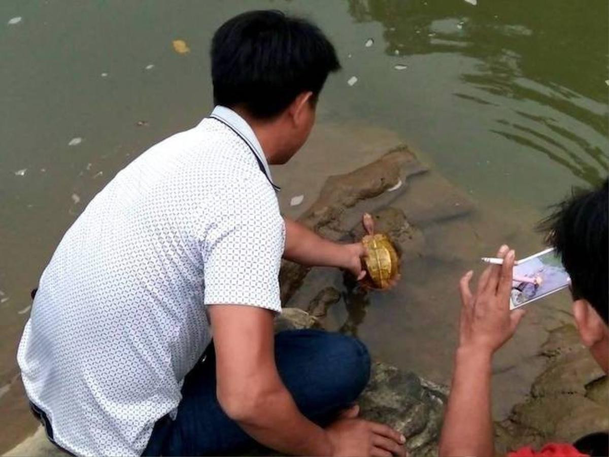 Thấy hai thanh niên mang 'rùa vàng' từ rừng ra, người dân mua rồi thả về tự nhiên Ảnh 3