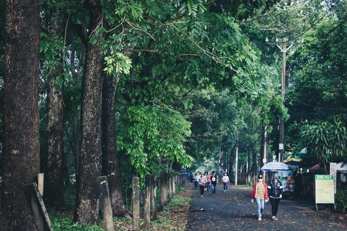 Đặc quyền chỉ riêng sinh viên ĐH Nông lâm TP.HCM mới có: Được học tập tại các giảng đường mang tên các loài hoa đẹp Ảnh 9