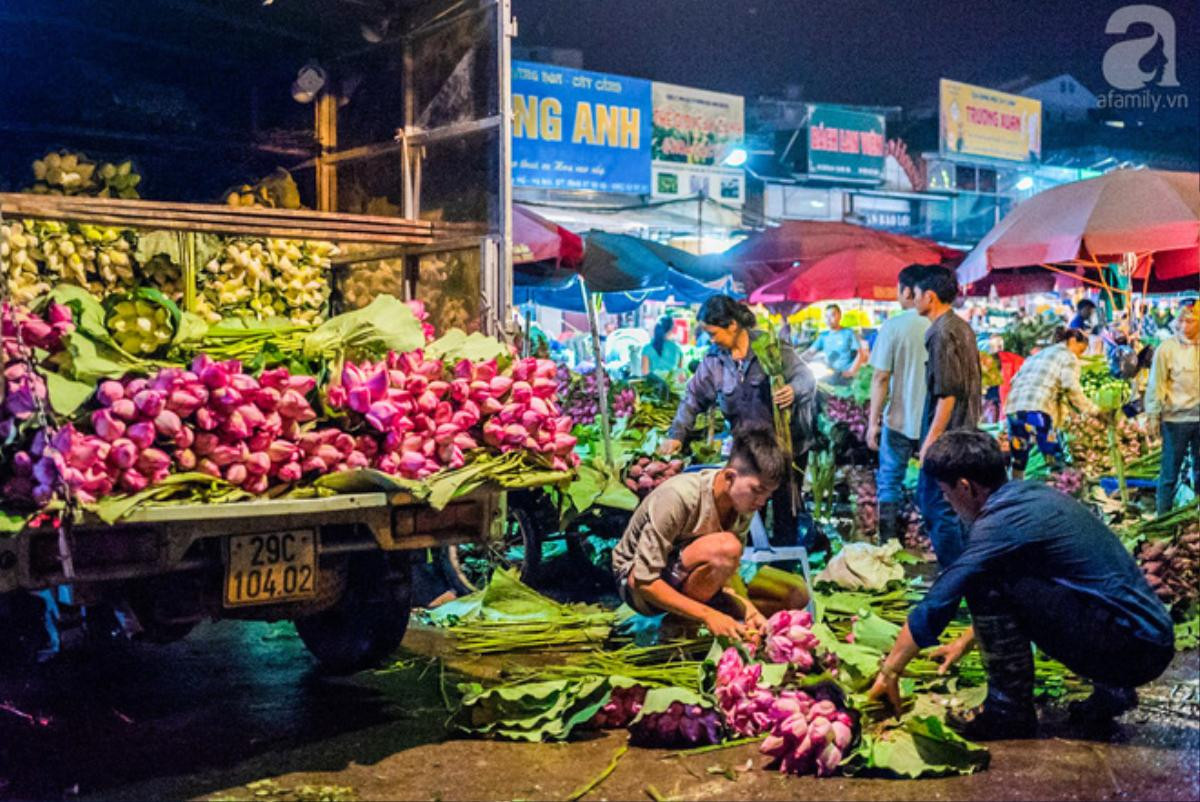 Những ngày đầu tháng 6, chợ hoa Quảng Bá có thêm hương sắc của cả ngàn bông sen Ảnh 1