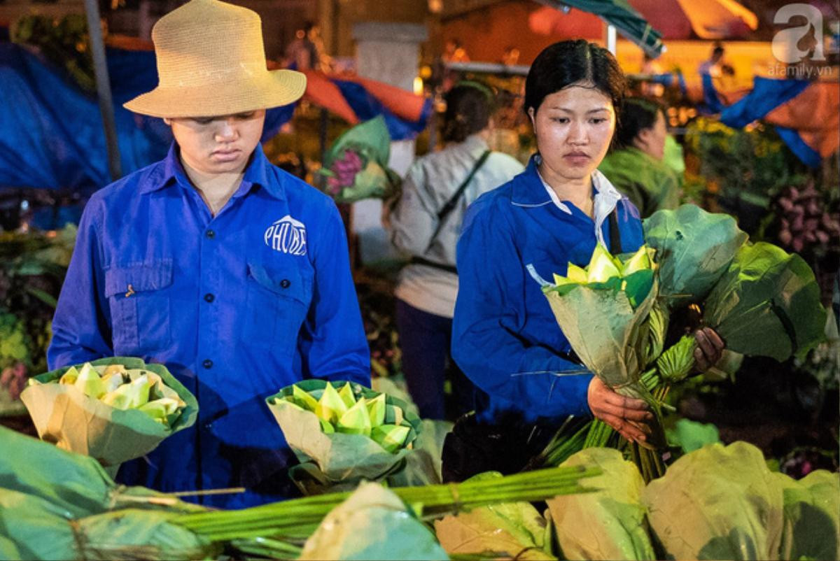 Những ngày đầu tháng 6, chợ hoa Quảng Bá có thêm hương sắc của cả ngàn bông sen Ảnh 10