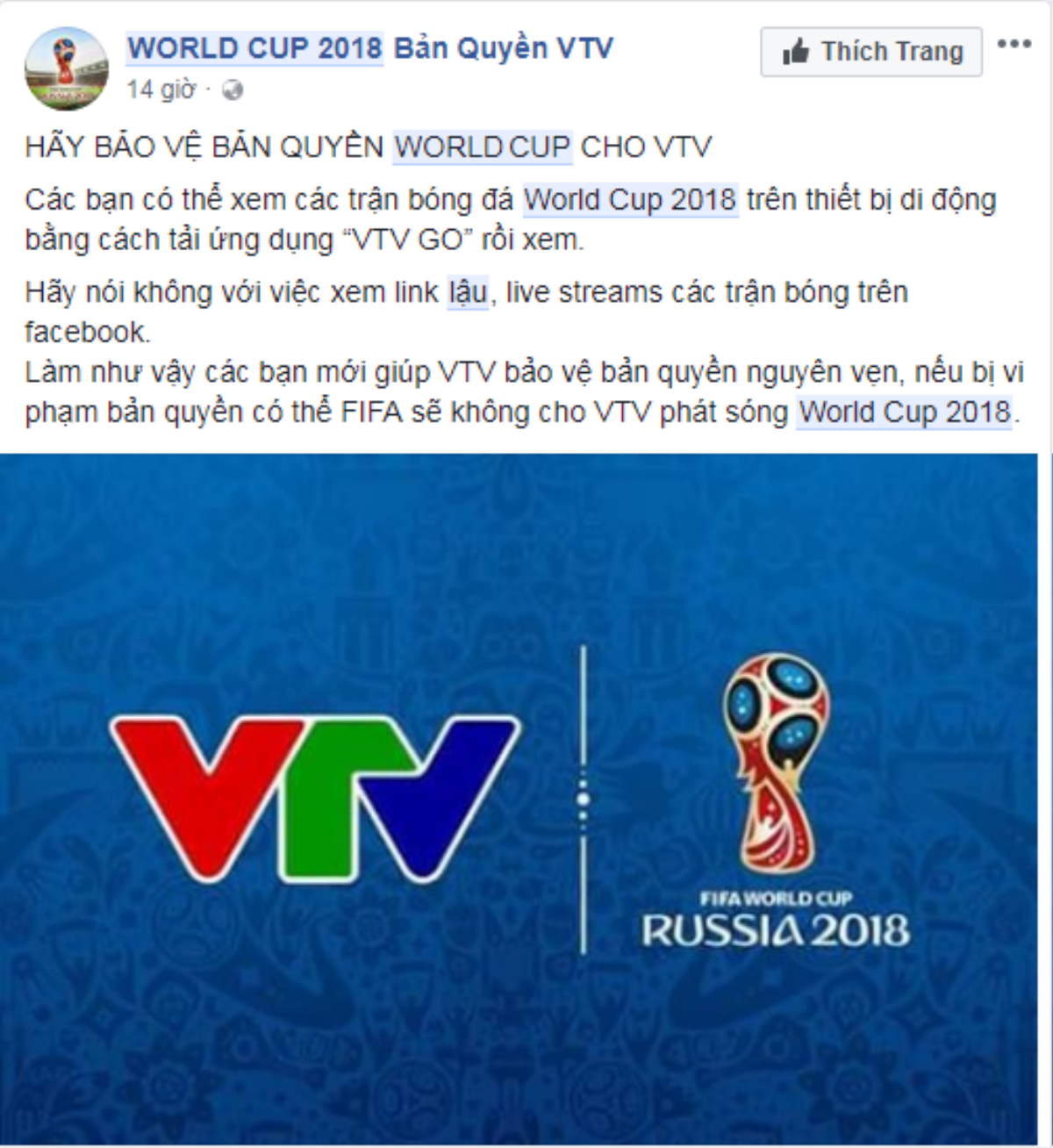 Việt Nam đối mặt nguy cơ bị cắt sóng World Cup 2018 vì nạn livestream lậu Ảnh 3