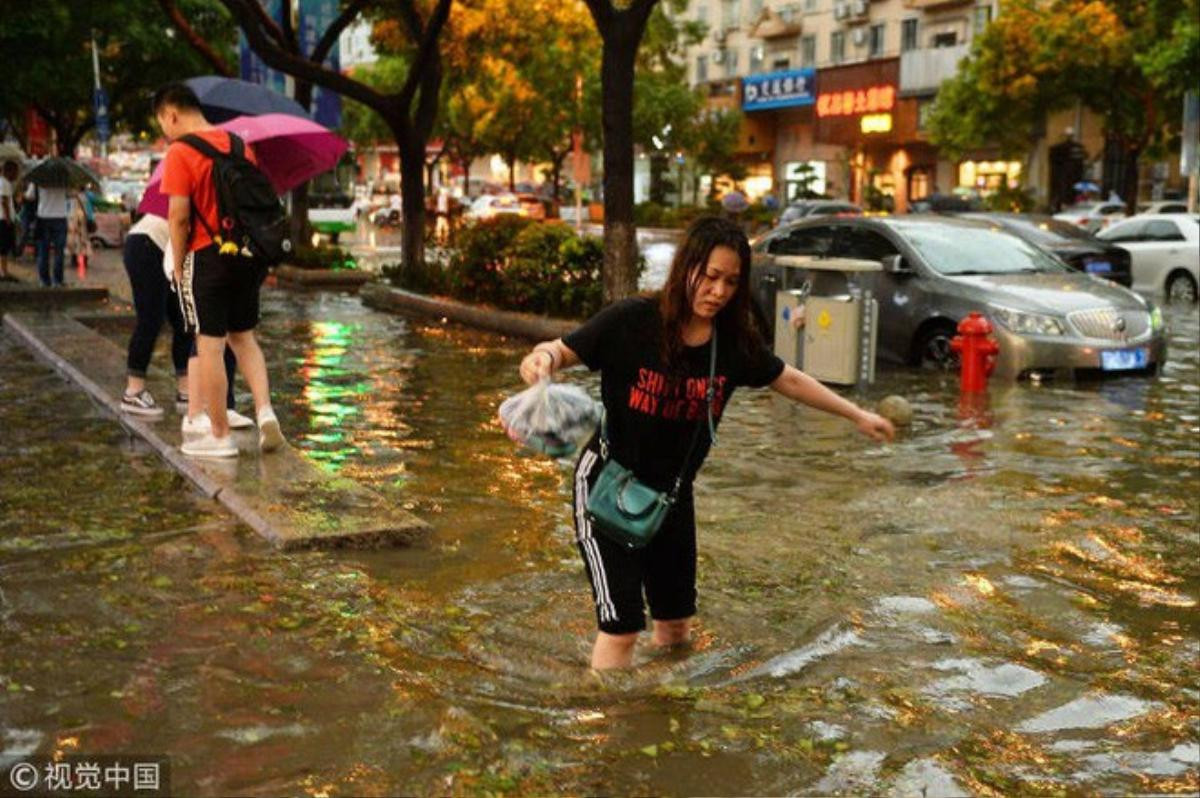 Bão lớn khiến hải sản tươi sống trút xuống như mưa ở Trung Quốc Ảnh 4