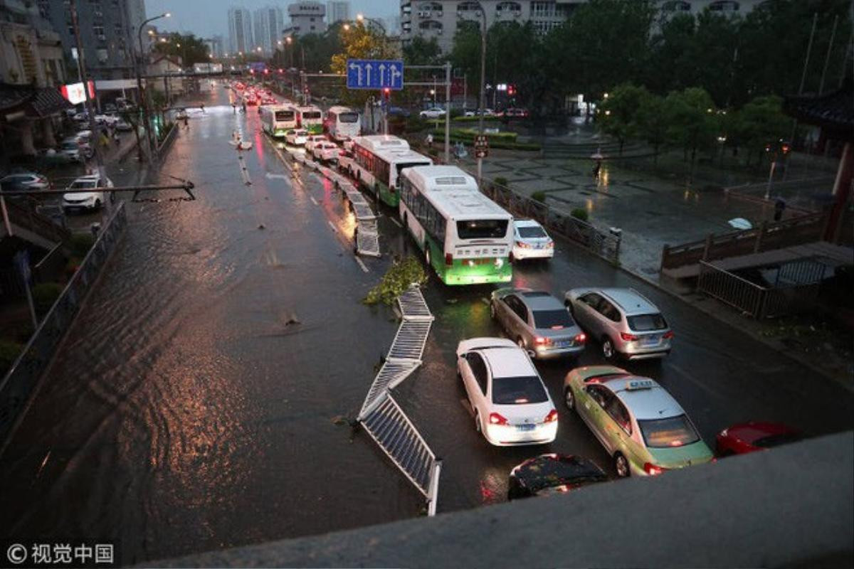 Bão lớn khiến hải sản tươi sống trút xuống như mưa ở Trung Quốc Ảnh 5