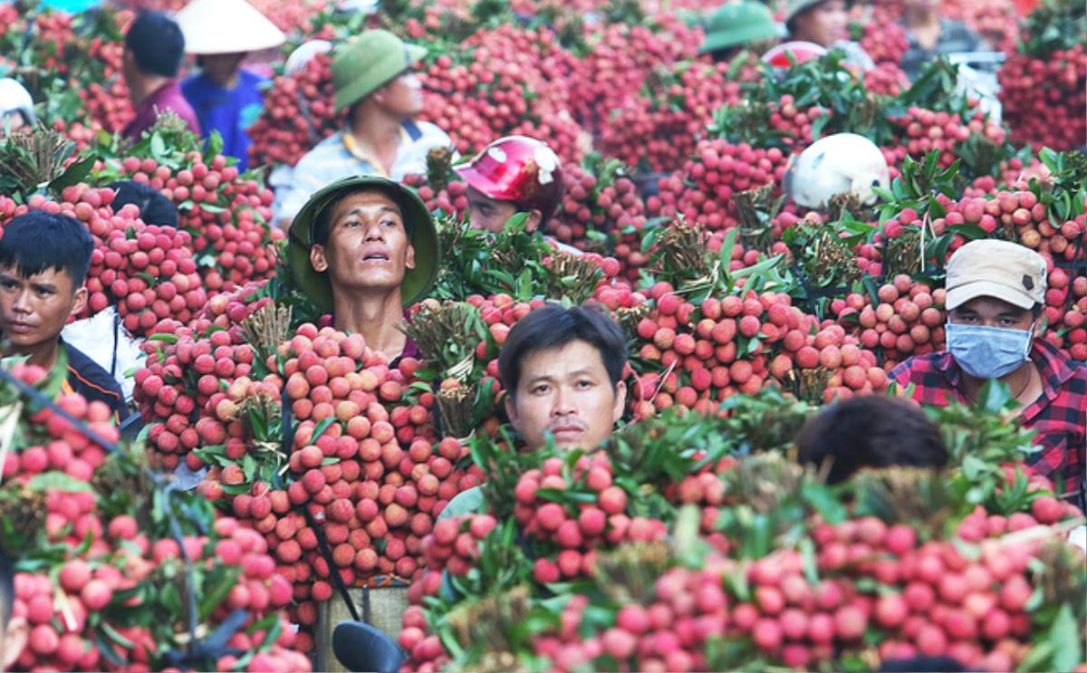 Chùm ảnh khổ như đi chợ vùng cao mùa vải chín: Đường tắc dài cả cây số, khắp nơi chỉ nhìn thấy màu đỏ chói mắt Ảnh 2