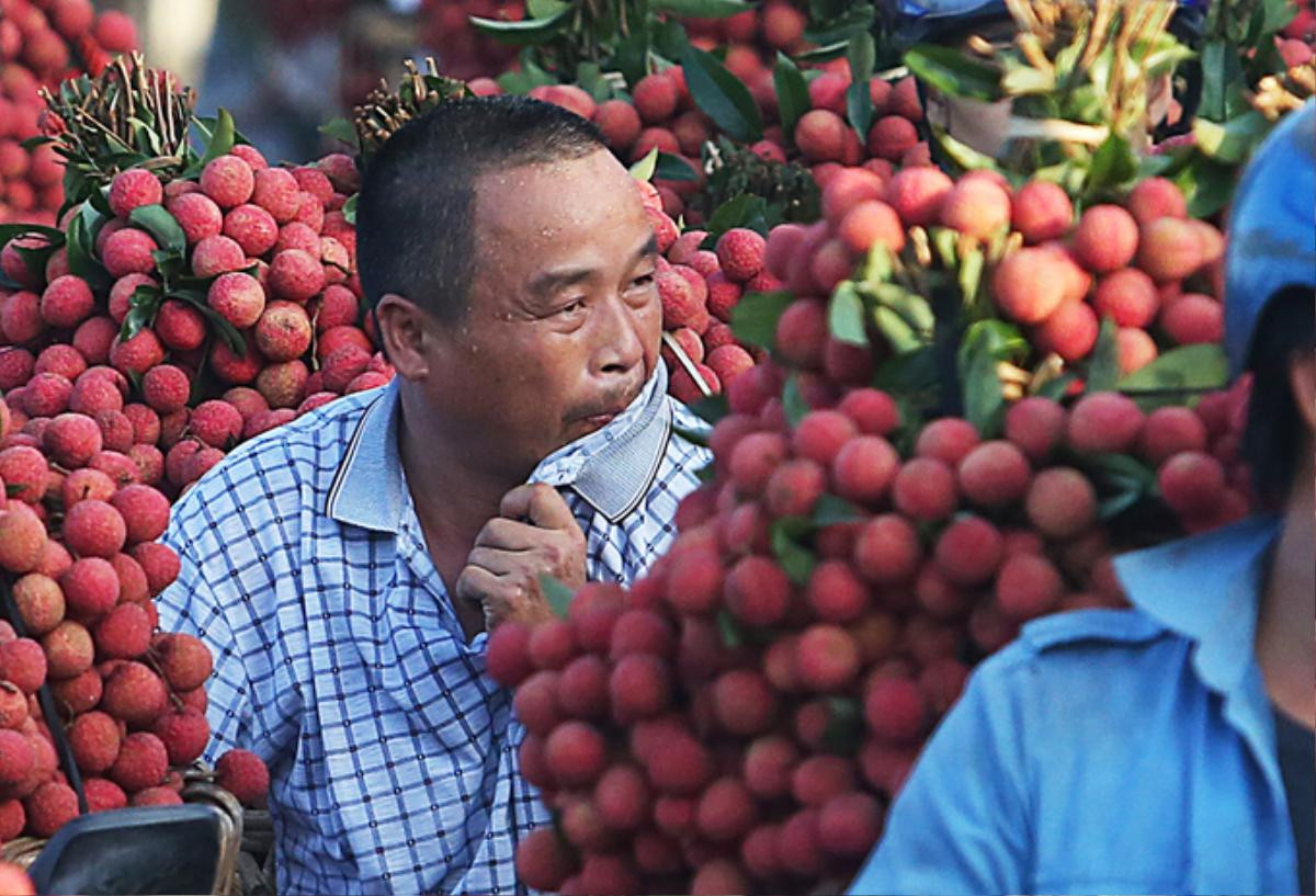 Chùm ảnh khổ như đi chợ vùng cao mùa vải chín: Đường tắc dài cả cây số, khắp nơi chỉ nhìn thấy màu đỏ chói mắt Ảnh 4