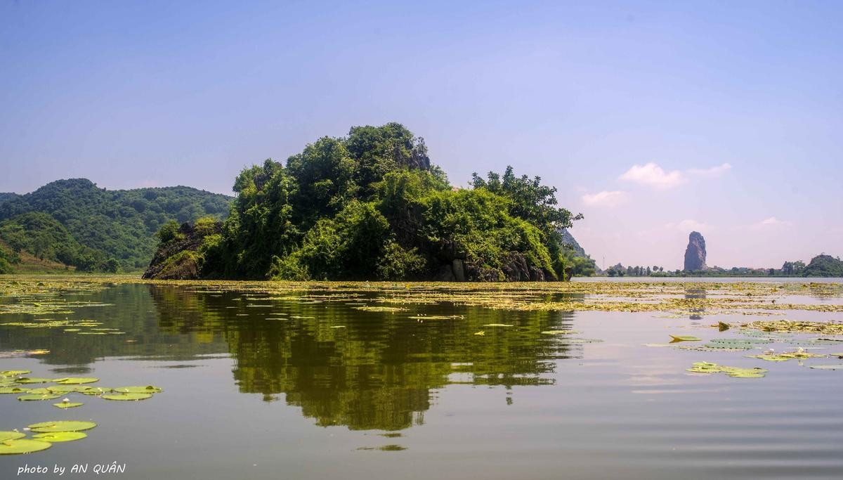 Đi ngay thôi, sen ở Hồ Quan Sơn đang nở rộ! Ảnh 1