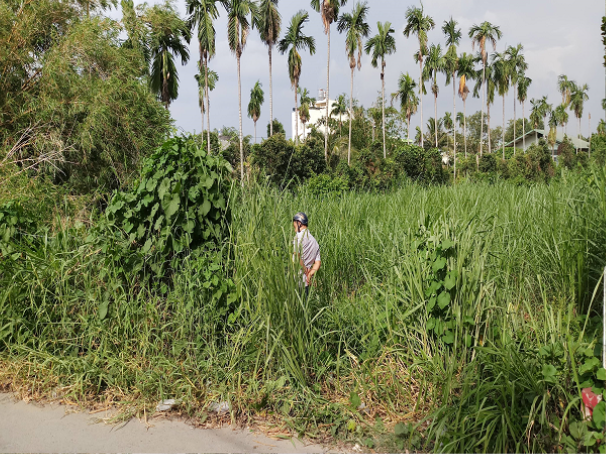 Bàng hoàng phát hiện thi thể người đàn ông nhiều hình xăm đang phân hủy trong bãi cỏ Ảnh 1