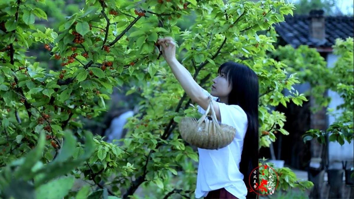 Đến thăm căn nhà hàng triệu người ao ước của 'tiên nữ đồng quê' Lý Tử Thất Ảnh 2